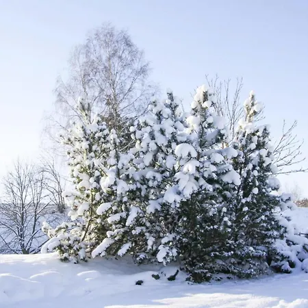 Nahe Wurmberg Skigebiet Braunlage